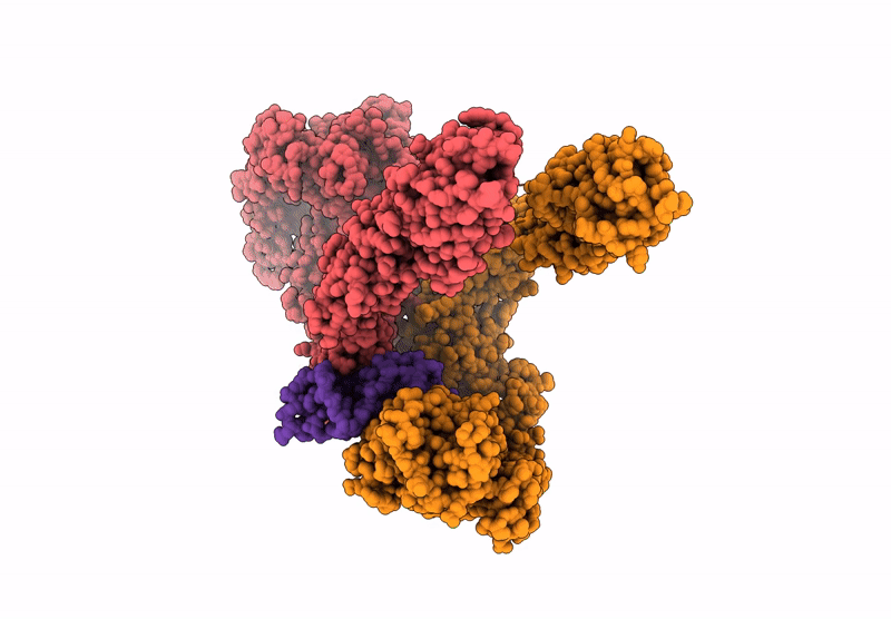7YQ5 image