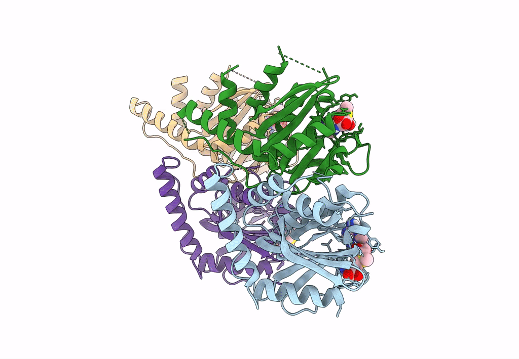 7YRI image