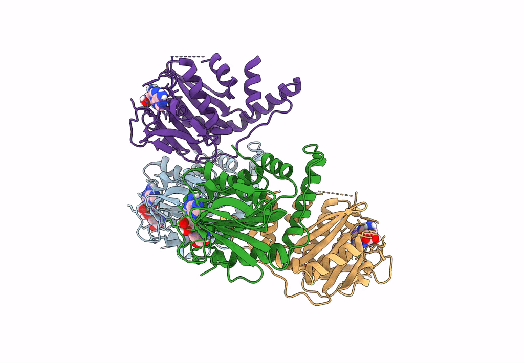 7YRJ image