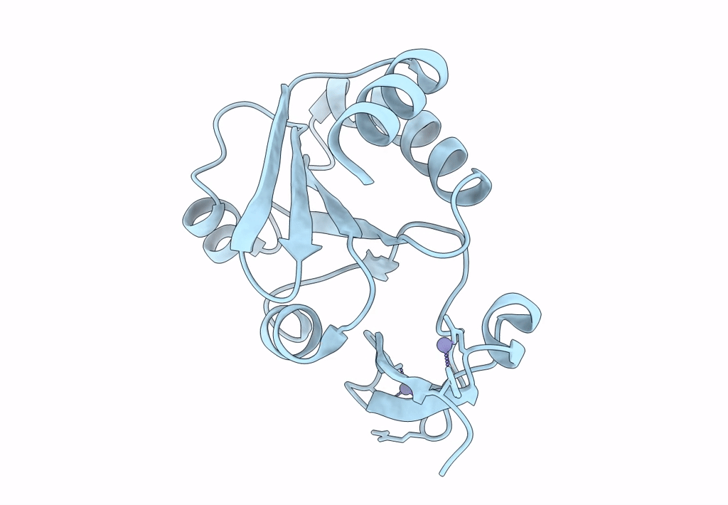 7YSI image