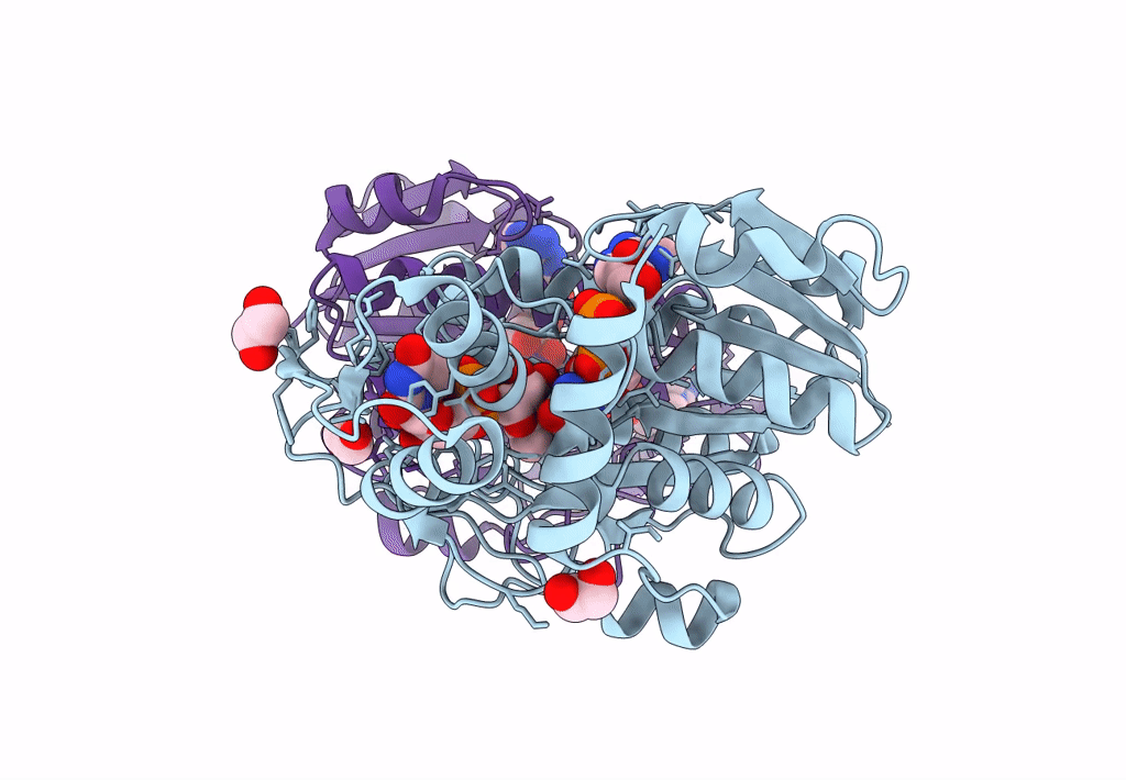 7YST image