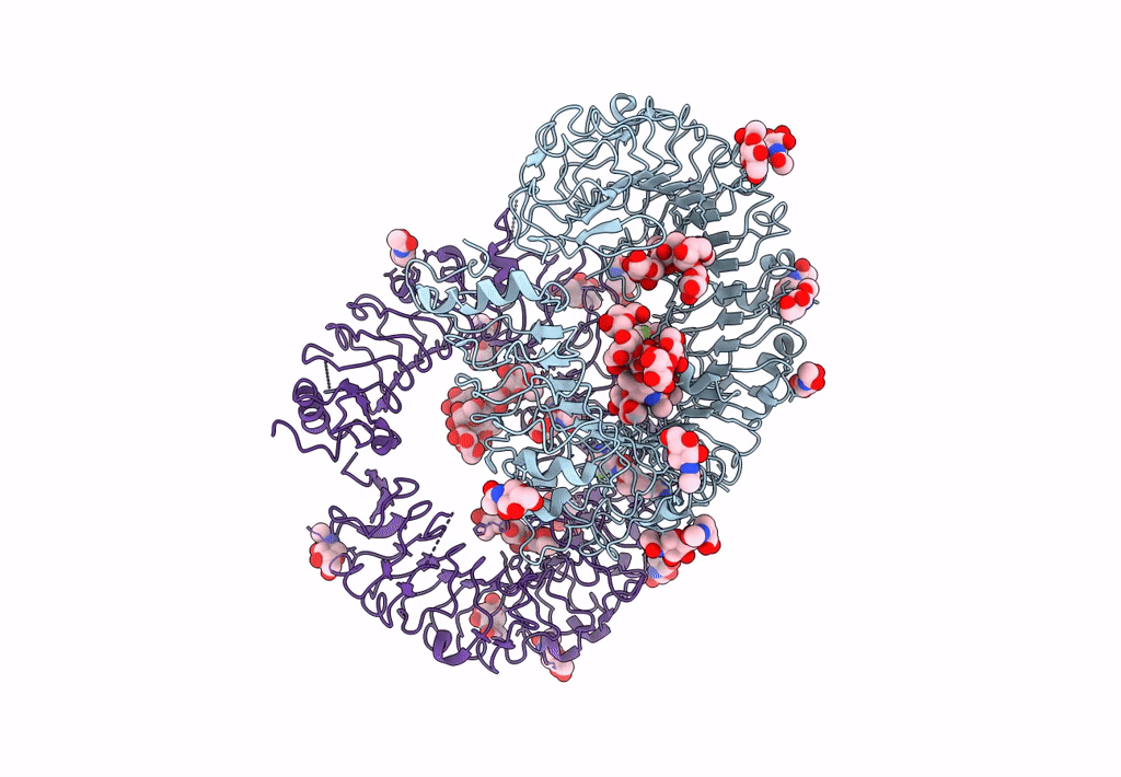 7YTX image