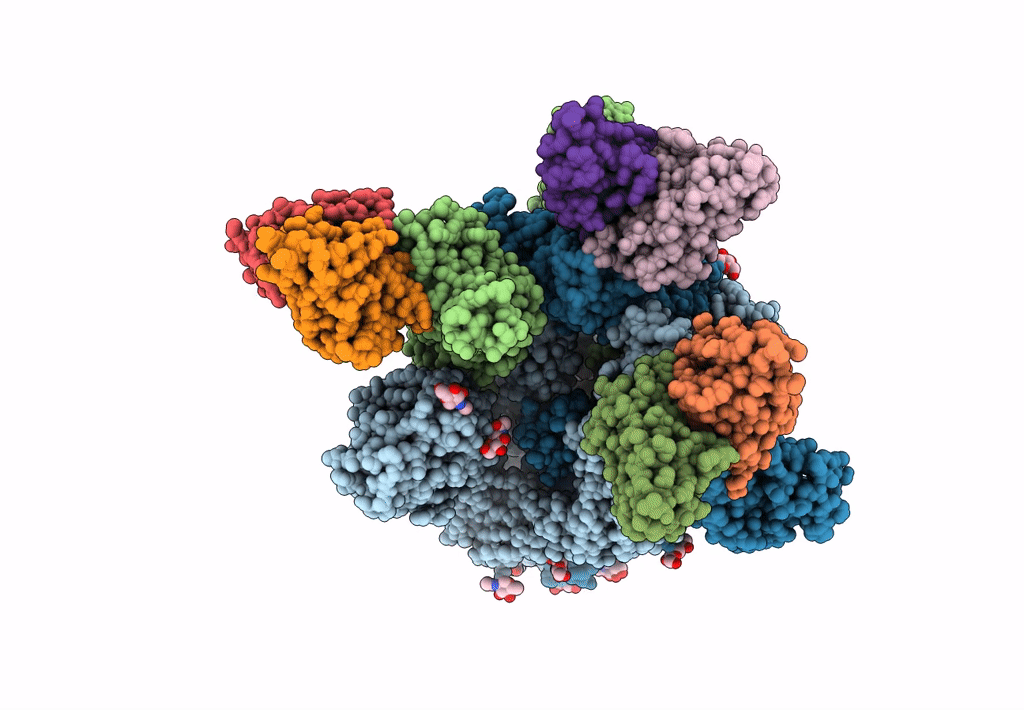 7YVI image