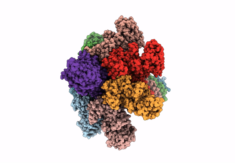 7YVS image