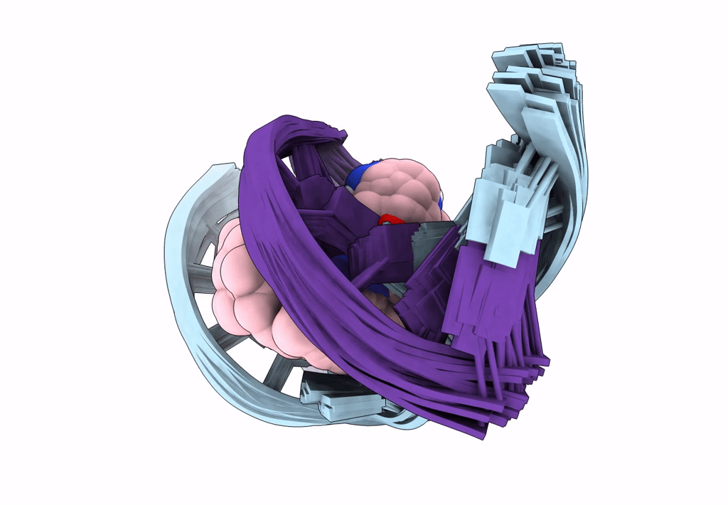 7YVW image