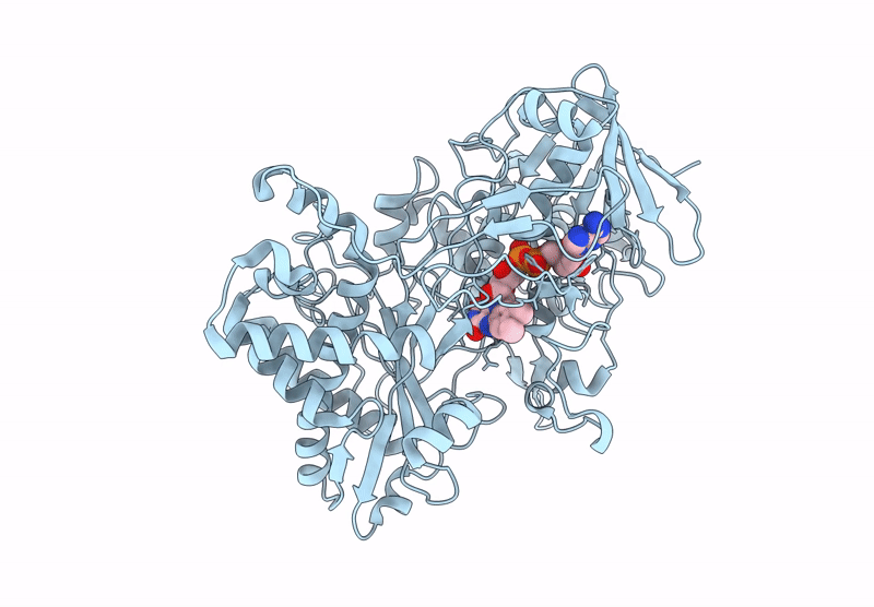 7YX5 image