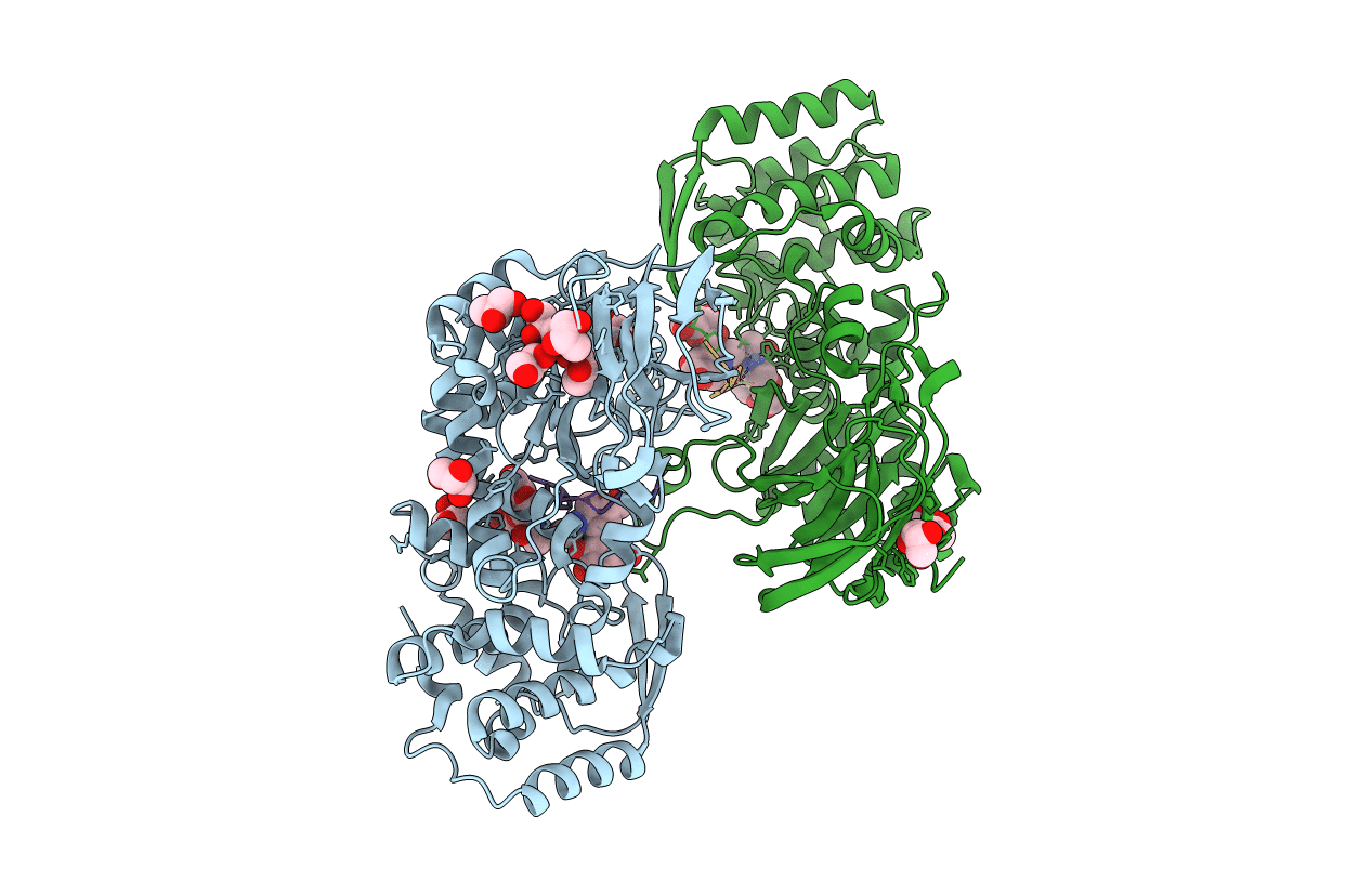 7YX8 image