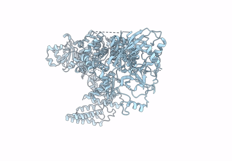 7YZ4 image