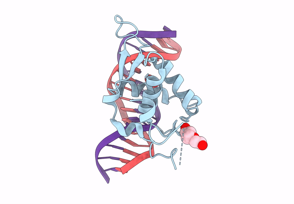 7YZD image