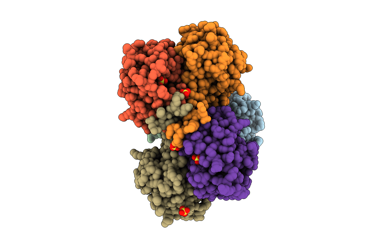 7Z06 image