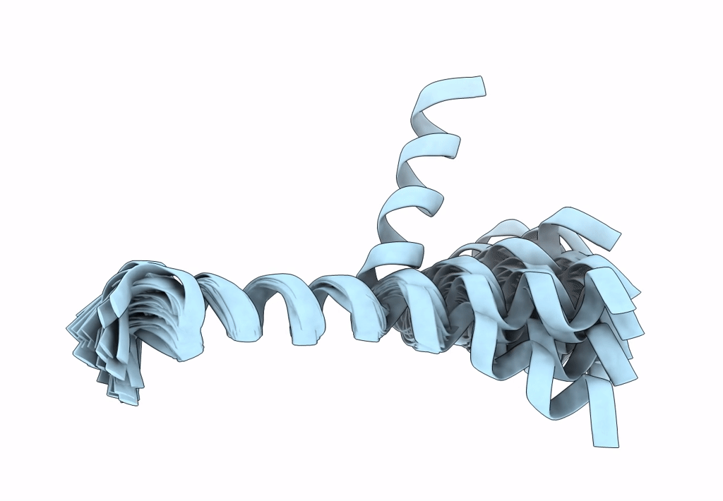 7Z07 image