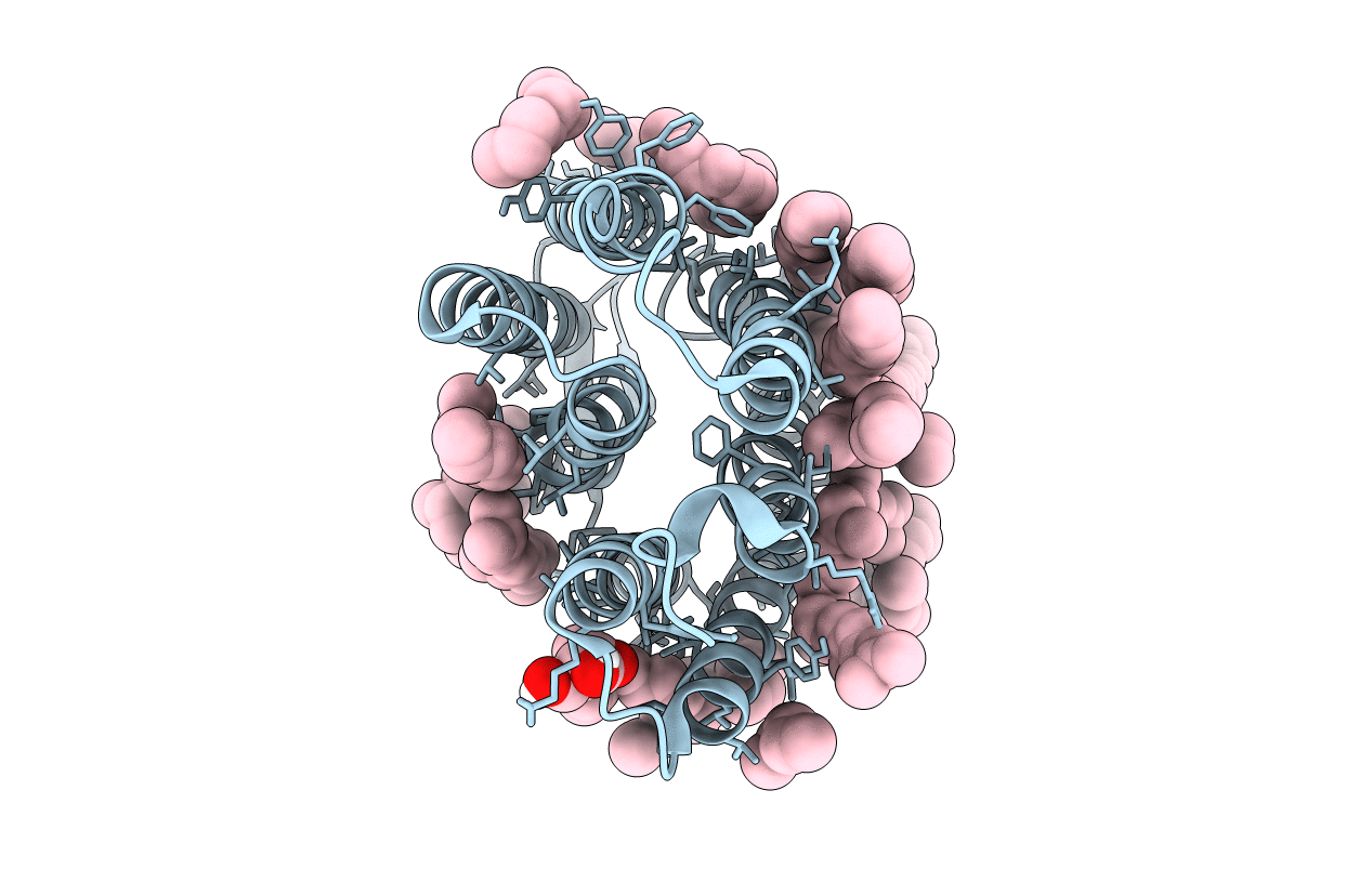 7Z0E image