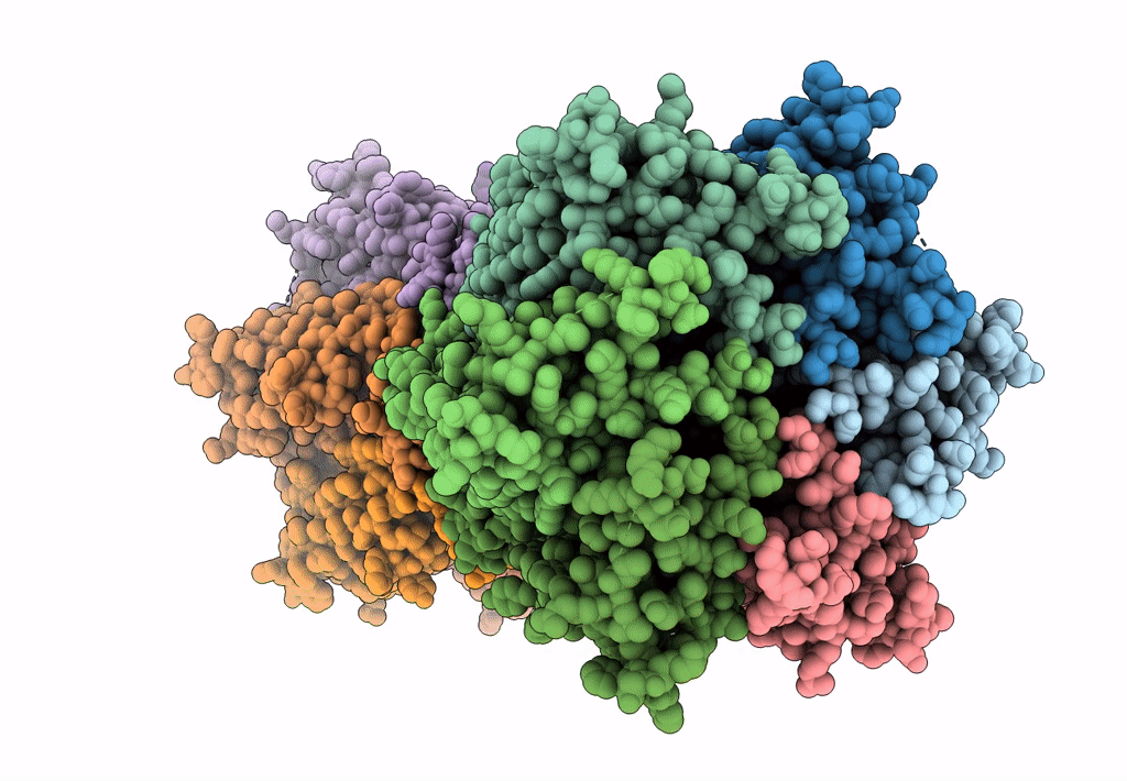 7Z22 image