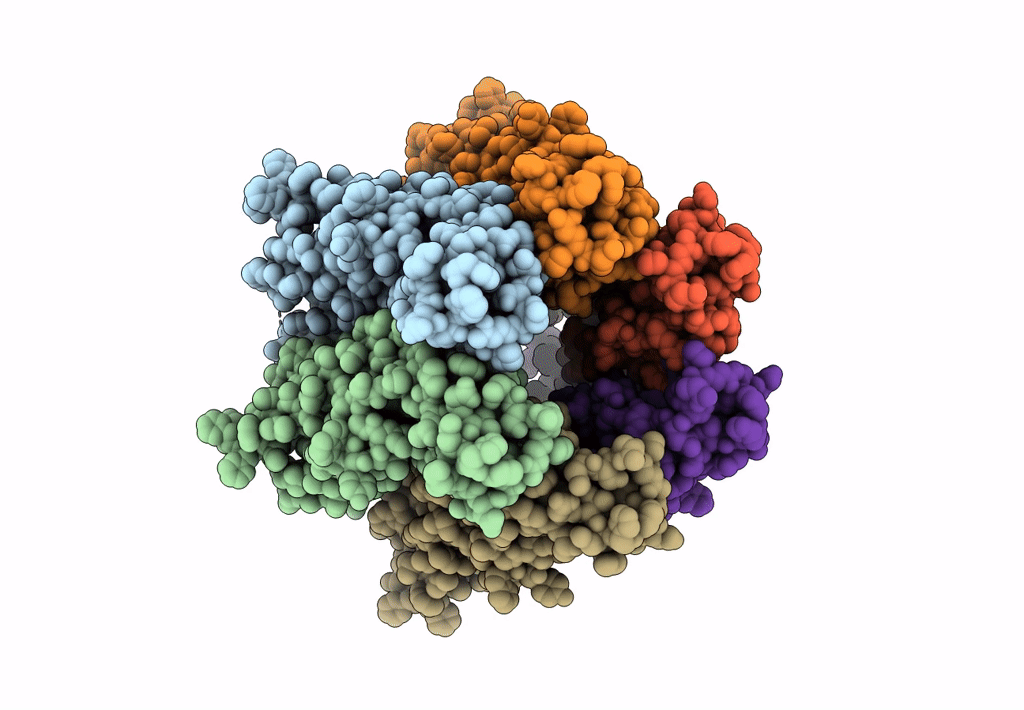7Z23 image