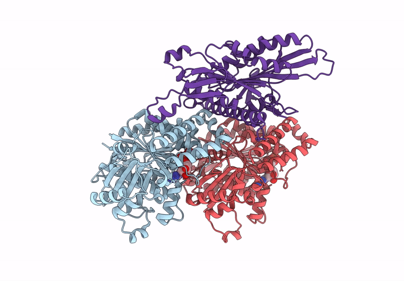 7Z2A image