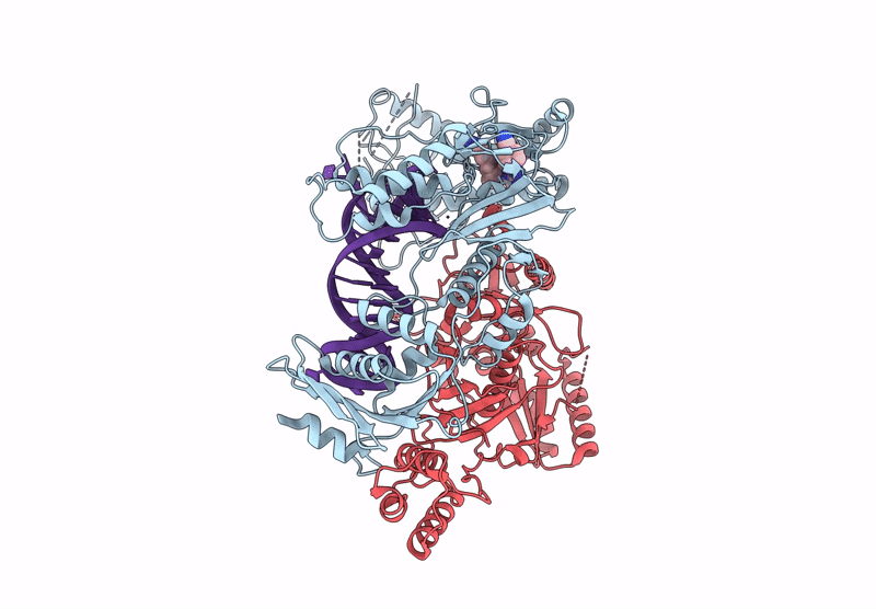 7Z2E image