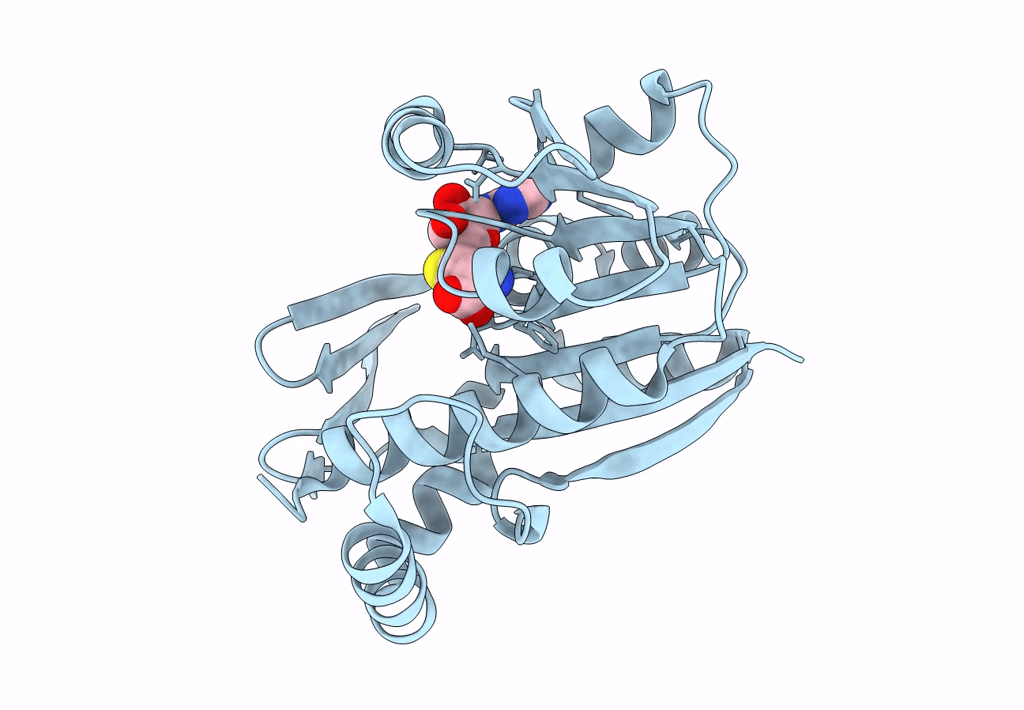 7Z2J image