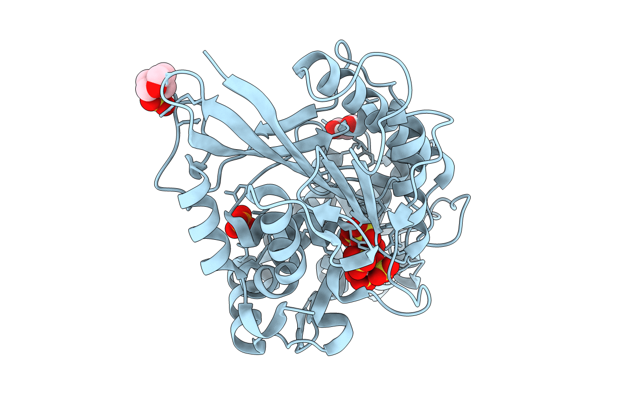 7Z2T image