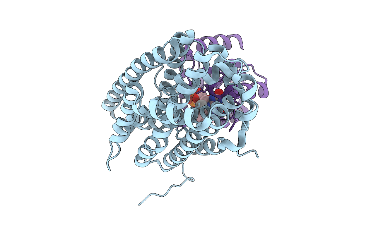 7Z3D image