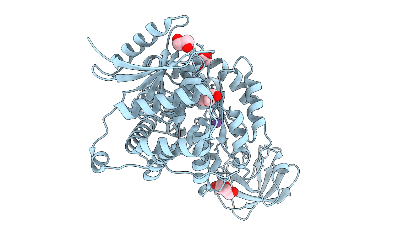 7Z4M image