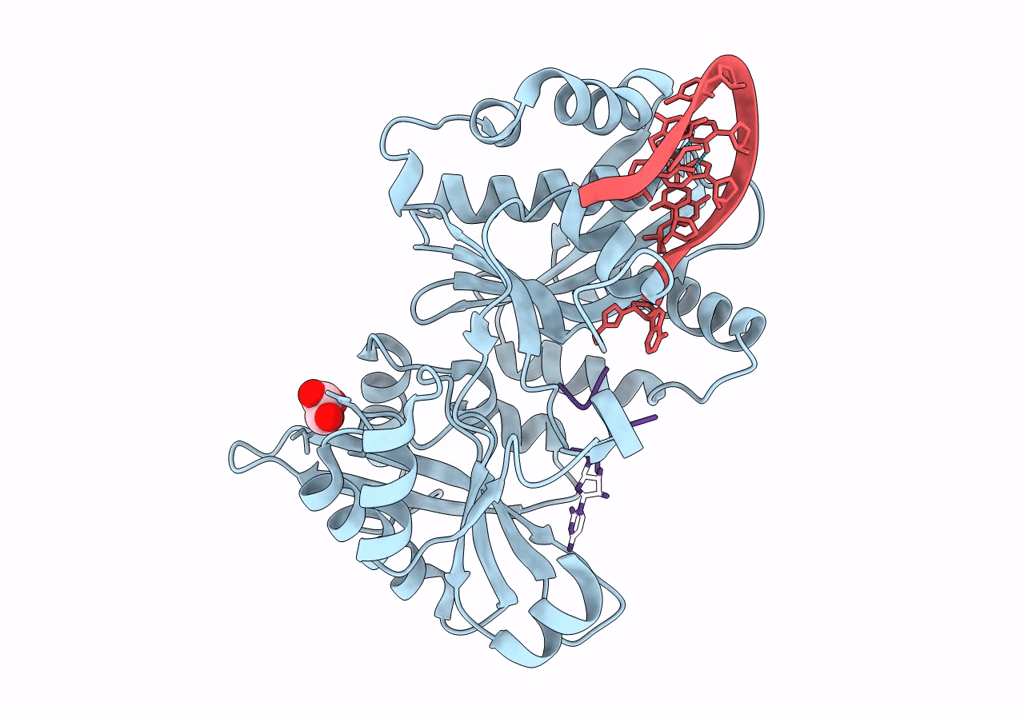 7Z6A image
