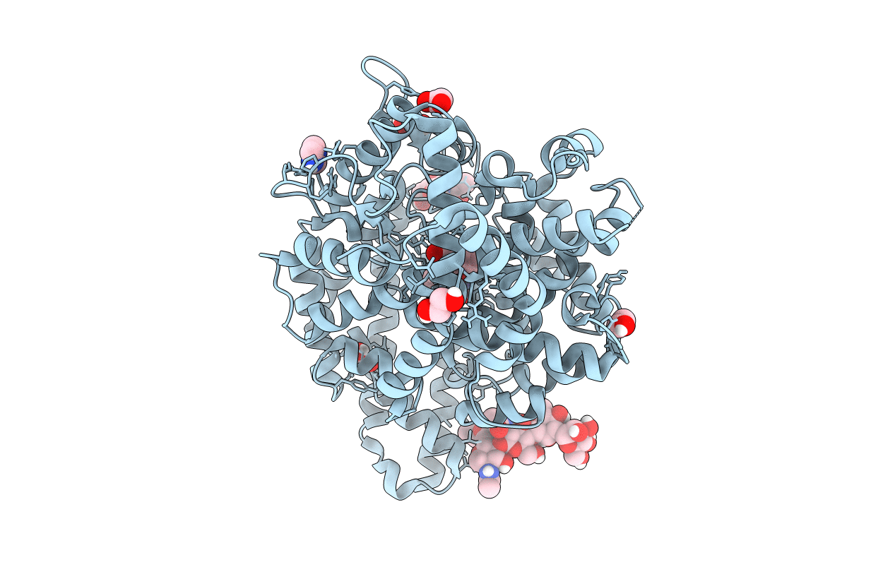 7Z70 image