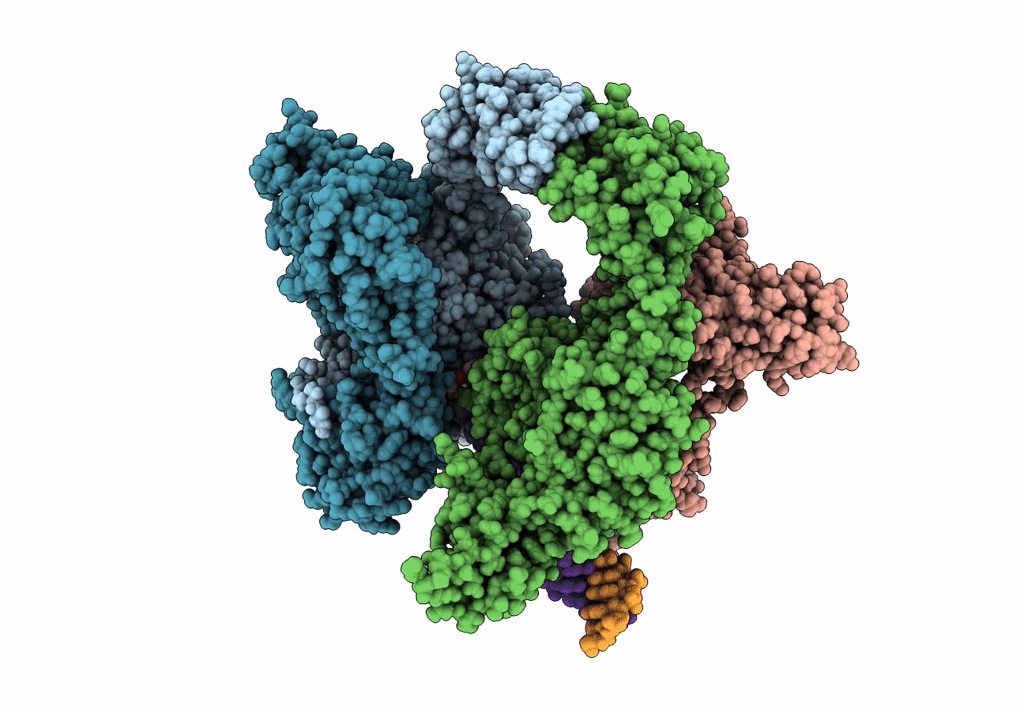 7Z9C image