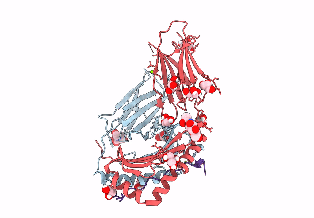 7ZAK image