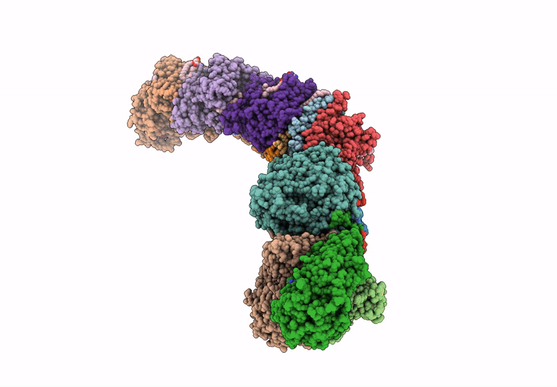 7ZCI image