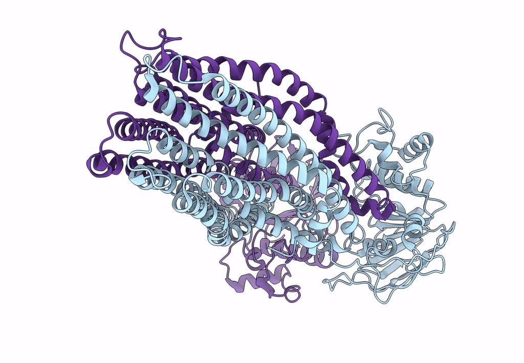 7ZDS image