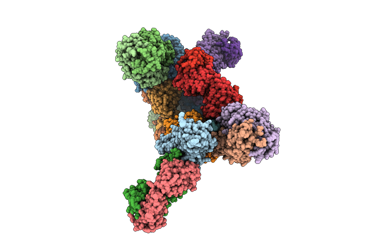 7ZFA image