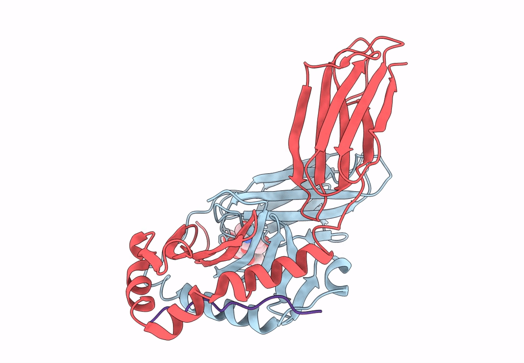 7ZFR image