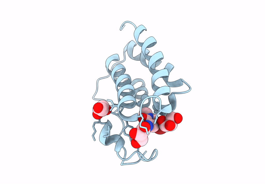 7ZFT image