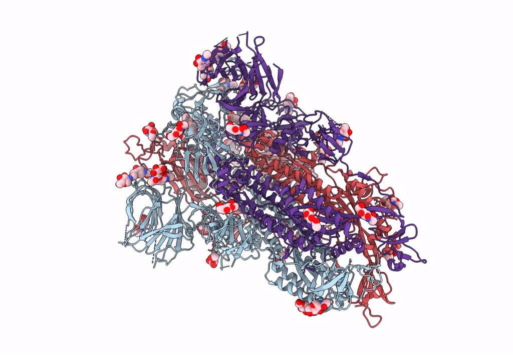 7ZH2 image