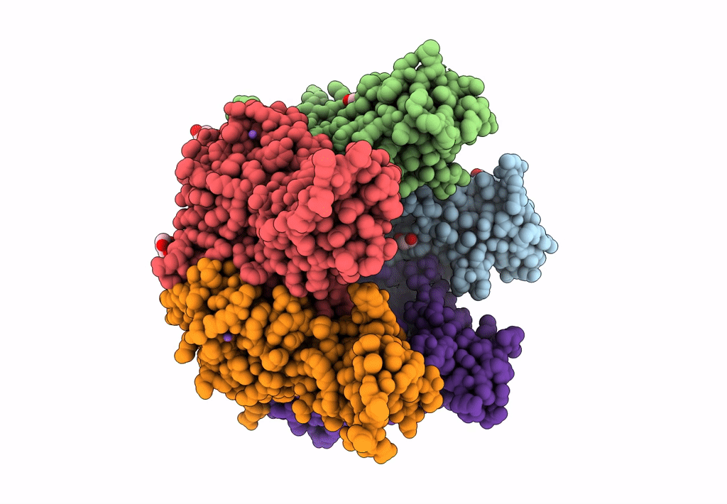 7ZIL image