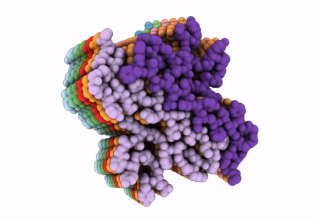 7ZJ2 image