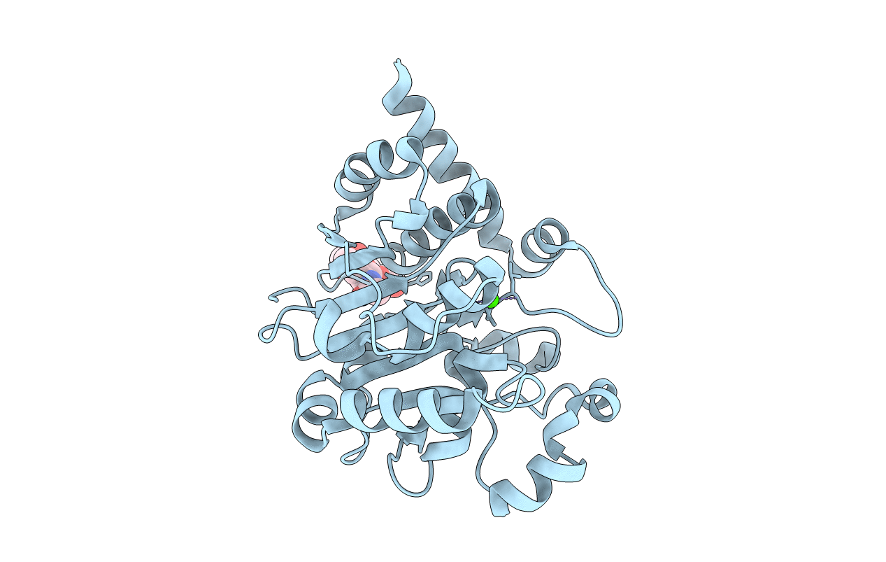 7ZKC image