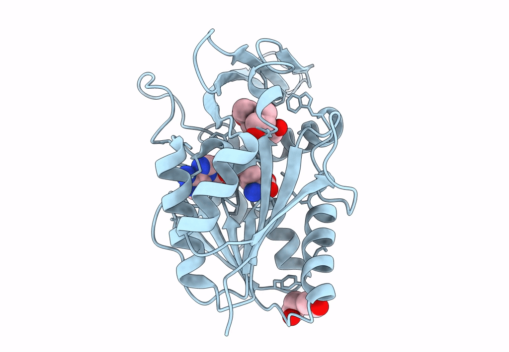 7ZKH image