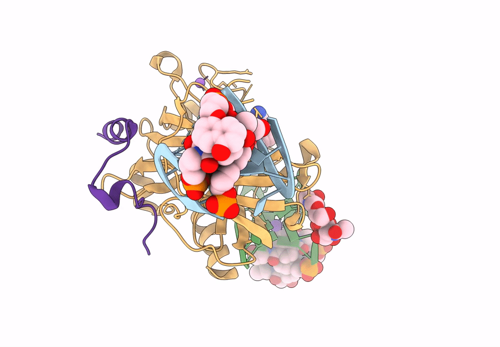7ZKM image