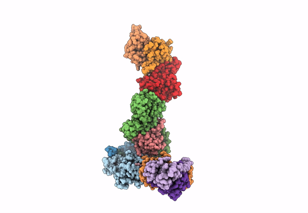 7ZLS image