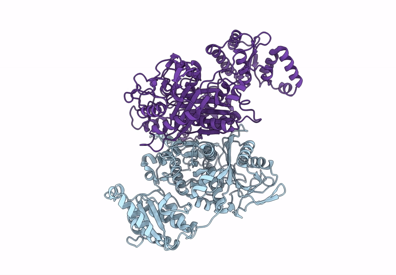 7ZMA image