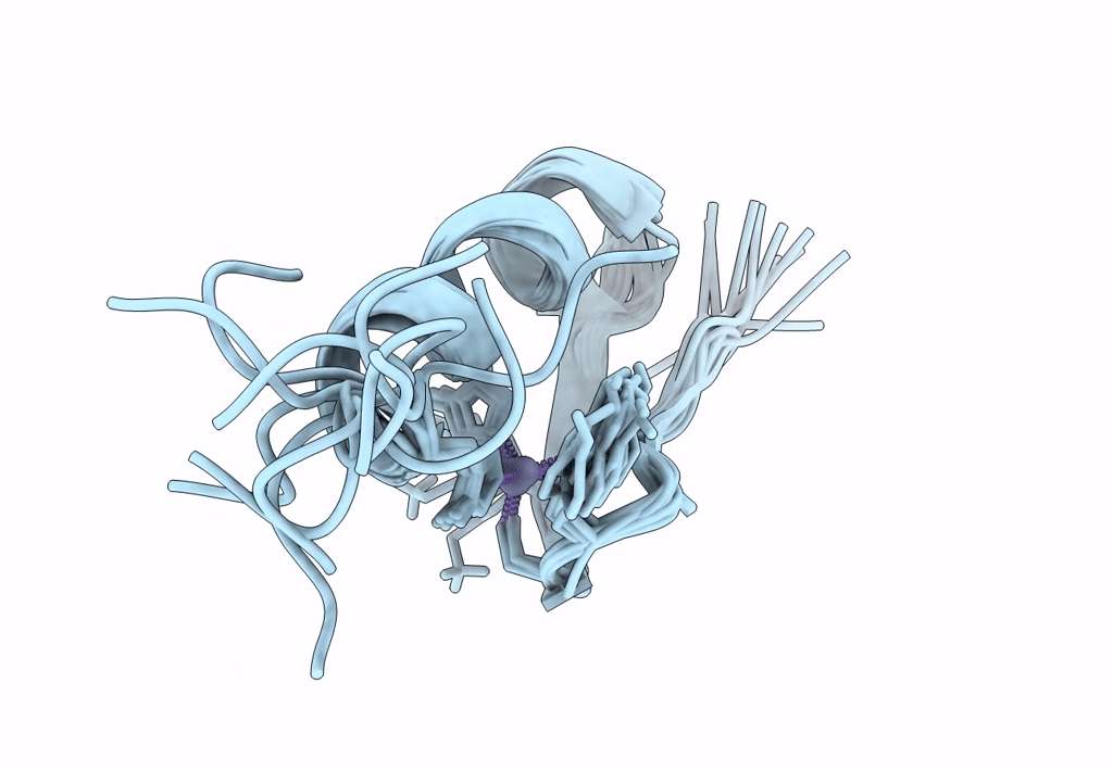 7ZNF image