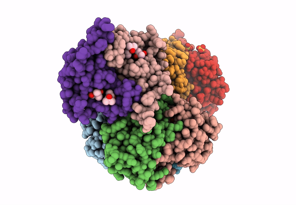 7ZOB image