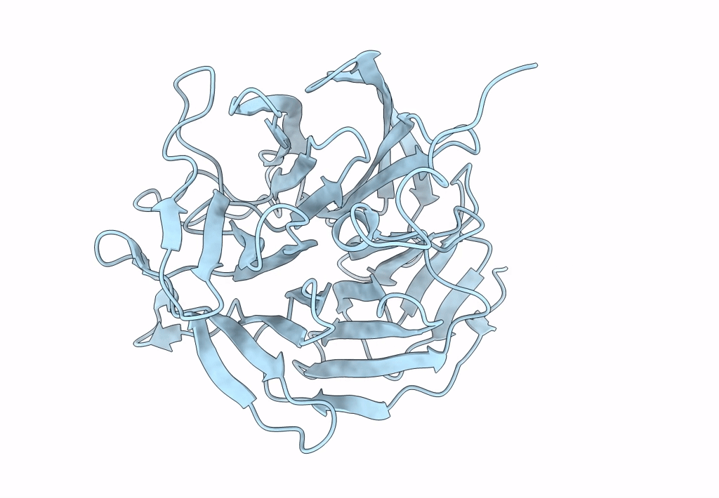 7ZP6 image