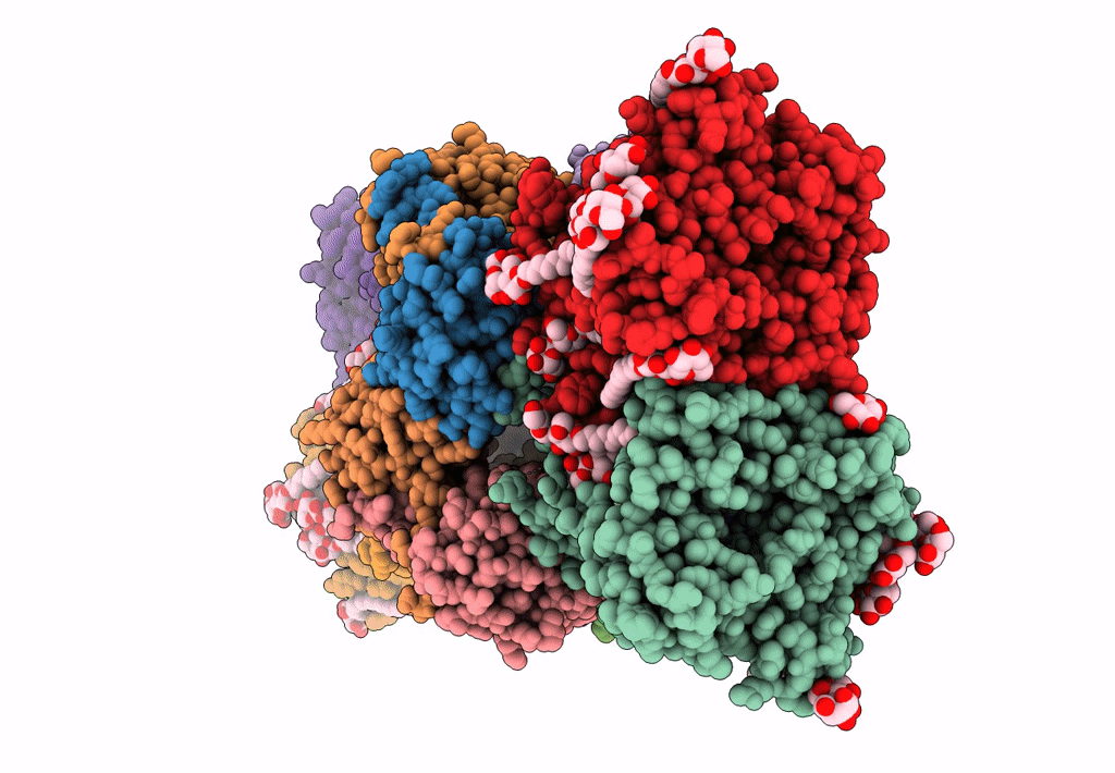 7ZP9 image