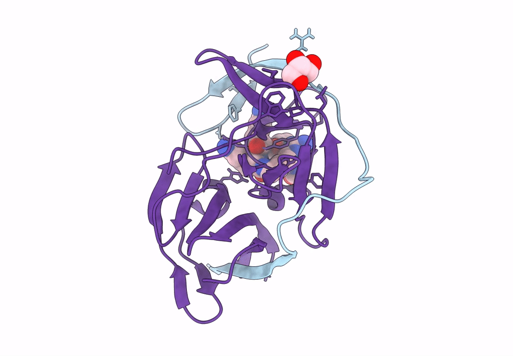 7ZQF image