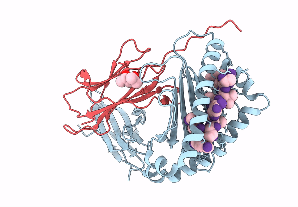 7ZQI image
