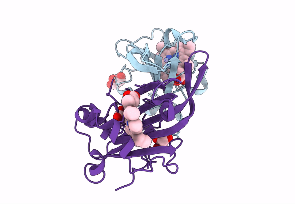 7ZRW image