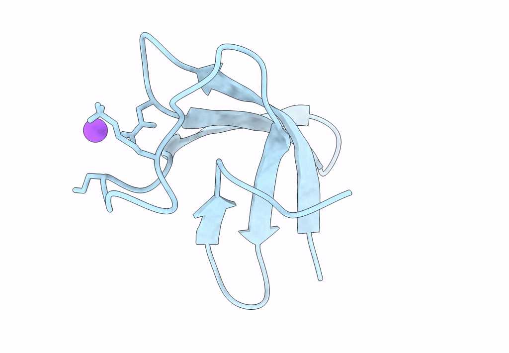 7ZTF image