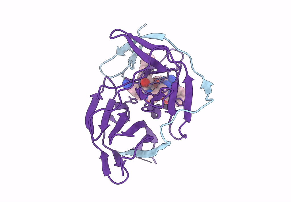 7ZTM image